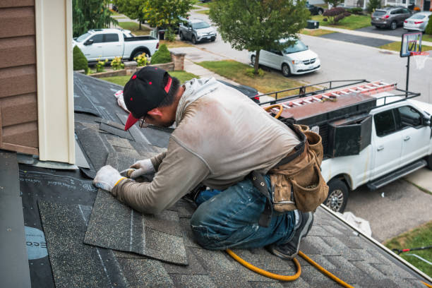 Professional Roof Replacement technician working in Dahinda, IL